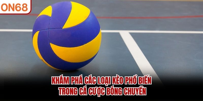 Kh&aacute;m ph&aacute; c&aacute;c loại k&egrave;o phổ biến trong c&aacute; cược b&oacute;ng chuyền
