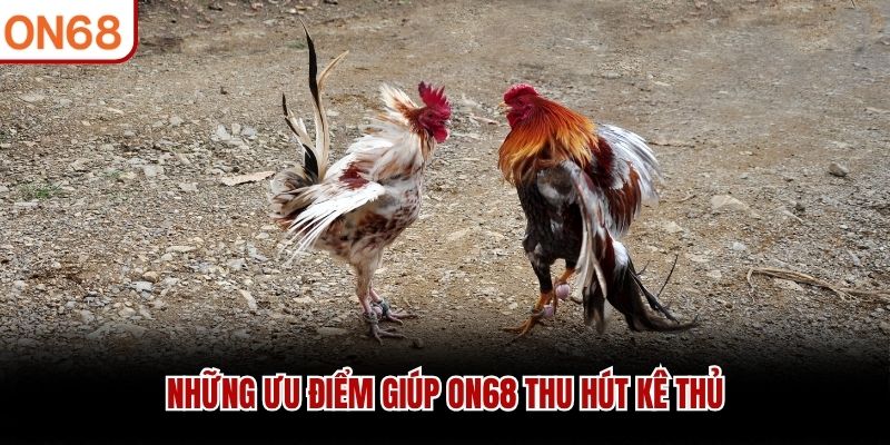 Những ưu điểm gi&uacute;p ON68 thu h&uacute;t k&ecirc; thủ