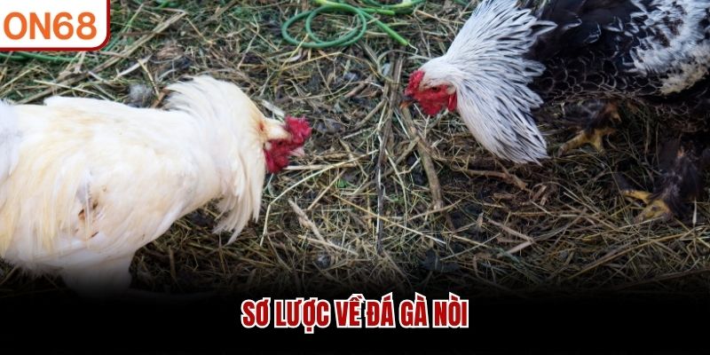 Sơ lược về đ&aacute; g&agrave; n&ograve;i