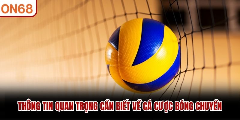 Th&ocirc;ng tin quan trọng cần biết về c&aacute; cược b&oacute;ng chuyền